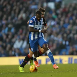 Darren Bent in Action: Brighton & Hove Albion vs Fulham, American Express Community Stadium (2014)