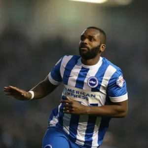 Darren Bent Scores on Brighton Debut: Brighton and Hove Albion vs. Fulham, 29 November 2014