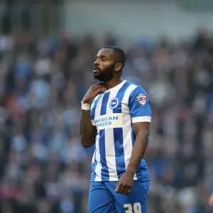 Darren Bent Scores: Brighton & Hove Albion vs Fulham Championship Clash (29NOV14)