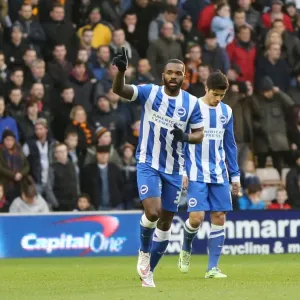 Darren Bent Scores and Celebrates: Wolverhampton Wanderers vs. Brighton and Hove Albion, Sky Bet Championship (20DEC14) Darren Bent Scores and Celebrates: Wolverhampton Wanderers vs. Brighton and Hove Albion, Sky Bet Championship (20DEC14)