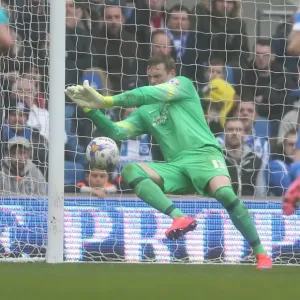David Stockdale: In Action for Brighton & Hove Albion Against Norwich City (3rd April 2015) David Stockdale: In Action for Brighton & Hove Albion Against Norwich City (3rd April 2015)