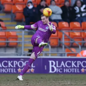 David Stockdale in Action: Brighton and Hove Albion vs. Blackpool, Sky Bet Championship, Bloomfield Road, 31st January 2015 David Stockdale in Action: Brighton and Hove Albion vs. Blackpool, Sky Bet Championship, Bloomfield Road, 31st January 2015