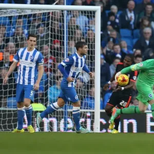 David Stockdale in Action: Brighton & Hove Albion vs Fulham (29NOV14)