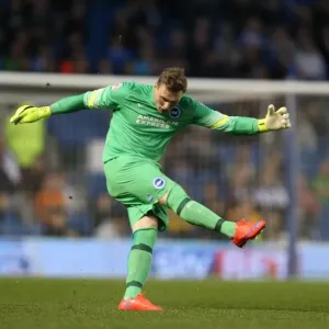 David Stockdale in Action: Brighton and Hove Albion vs Huddersfield Town AFC, Sky Bet Championship, American Express Community Stadium, 14th April 2015 David Stockdale in Action: Brighton and Hove Albion vs Huddersfield Town AFC, Sky Bet Championship, American Express Community Stadium, 14th April 2015
