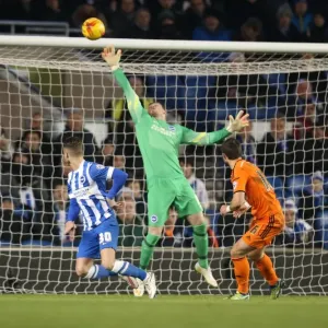 David Stockdale in Action: Brighton and Hove Albion vs Ipswich Town, Sky Bet Championship, American Express Community Stadium, January 2015