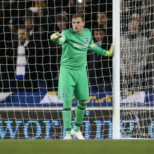 David Stockdale in Action: Brighton and Hove Albion vs Leeds United, 2015 David Stockdale in Action: Brighton and Hove Albion vs Leeds United, 2015