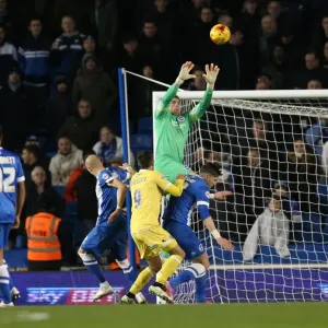 David Stockdale in Action: Brighton & Hove Albion vs Millwall (12DEC14)