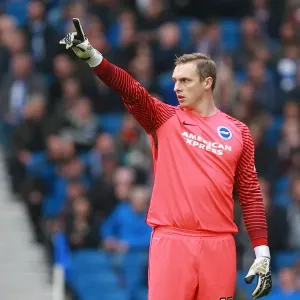David Stockdale in Action: Brighton & Hove Albion vs Norwich City, EFL Sky Bet Championship, 29th October 2016 David Stockdale in Action: Brighton & Hove Albion vs Norwich City, EFL Sky Bet Championship, 29th October 2016