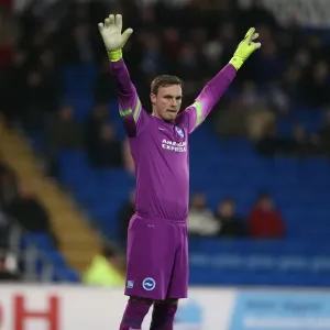 David Stockdale in Action: Cardiff City vs. Brighton and Hove Albion, Sky Bet Championship 2015 David Stockdale in Action: Cardiff City vs. Brighton and Hove Albion, Sky Bet Championship 2015