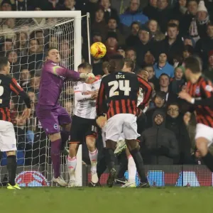 David Stockdale: In Action at Craven Cottage - Fulham vs. Brighton and Hove Albion, December 2014 David Stockdale: In Action at Craven Cottage - Fulham vs. Brighton and Hove Albion, December 2014