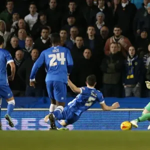 David Stockdale: In Action Against Leeds United, 2015 (Brighton and Hove Albion vs Leeds United) David Stockdale: In Action Against Leeds United, 2015 (Brighton and Hove Albion vs Leeds United)