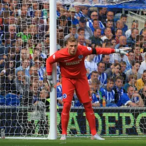 David Stockdale Focused: Brighton and Hove Albion vs Hull City, Sky Bet Championship 2015 David Stockdale Focused: Brighton and Hove Albion vs Hull City, Sky Bet Championship 2015