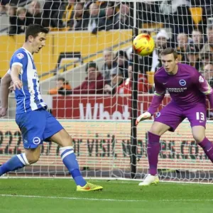 David Stockdale Focused: Wolverhampton Wanderers vs. Brighton and Hove Albion, Sky Bet Championship, Molineux, 2014 David Stockdale Focused: Wolverhampton Wanderers vs. Brighton and Hove Albion, Sky Bet Championship, Molineux, 2014