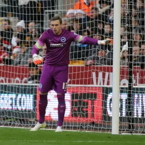 David Stockdale: Intense Concentration during Wolverhampton Wanderers vs. Brighton and Hove Albion, Sky Bet Championship, 2014 David Stockdale: Intense Concentration during Wolverhampton Wanderers vs. Brighton and Hove Albion, Sky Bet Championship, 2014