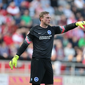 David Stockdale: Saving the Day for Brighton and Hove Albion against Rotherham United, Sky Bet Championship, 6th April 2015