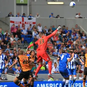 David Stockdale's Dramatic Save: Brighton and Hove Albion vs. Hull City, Sky Bet Championship 2015 David Stockdale's Dramatic Save: Brighton and Hove Albion vs. Hull City, Sky Bet Championship 2015