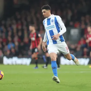 Dean Court Showdown: Premier League Battle between AFC Bournemouth and Brighton & Hove Albion (22DEC18)