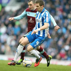 Dean Hammond in Action: Brighton & Hove Albion vs. Burnley, Npower Championship, Amex Stadium, February 23, 2013 Dean Hammond in Action: Brighton & Hove Albion vs. Burnley, Npower Championship, Amex Stadium, February 23, 2013