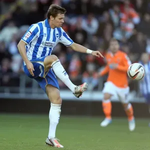 Dean Hammond of Brighton & Hove Albion in Action Against Blackpool, Npower Championship, October 27, 2012 Dean Hammond of Brighton & Hove Albion in Action Against Blackpool, Npower Championship, October 27, 2012