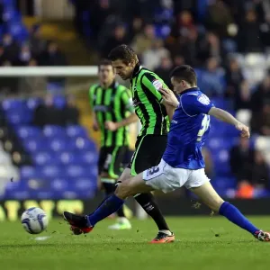 Dean Hammond: Brighton & Hove Albion vs Birmingham City, Npower Championship (January 19, 2013)