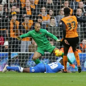 December Showdown: Darren Bent Scores for Brighton Against Wolverhampton (2014) December Showdown: Darren Bent Scores for Brighton Against Wolverhampton (2014)
