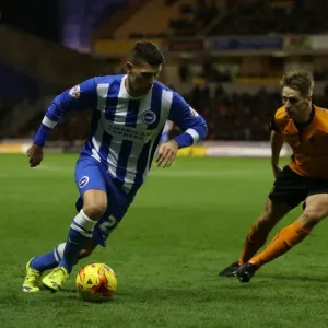 December Showdown: Wolverhampton Wanderers vs. Brighton and Hove Albion - Holla's Determination December Showdown: Wolverhampton Wanderers vs. Brighton and Hove Albion - Holla's Determination