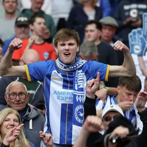 The Decider: Brighton & Hove Albion vs. Southampton - 2022-23 Season Showdown The Decider: Brighton & Hove Albion vs. Southampton - 2022-23 Season Showdown
