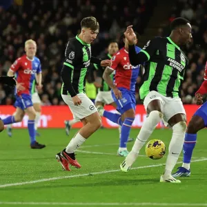 Decisive Battle: Premier League Showdown - Crystal Palace vs. Brighton & Hove Albion at Selhurst Park (21DEC23)