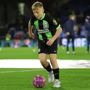 Decisive Battle at Selhurst Park: Crystal Palace vs. Brighton & Hove Albion, Premier League 2023/24