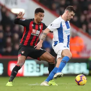 Decisive Moment: AFC Bournemouth vs. Brighton and Hove Albion at Vitality Stadium, Premier League (22DEC18)