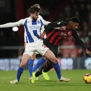 Decisive Moment: AFC Bournemouth vs. Brighton and Hove Albion - Premier League Showdown at Vitality Stadium (22DEC18)