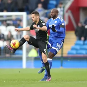 Decisive Moment: Cardiff City vs. Brighton and Hove Albion, EFL Sky Bet Championship (03DEC16) Decisive Moment: Cardiff City vs. Brighton and Hove Albion, EFL Sky Bet Championship (03DEC16)