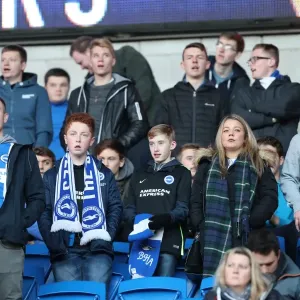 Decisive Moment: Cardiff vs. Brighton - EFL Sky Bet Championship Clash (3 December 2016) Decisive Moment: Cardiff vs. Brighton - EFL Sky Bet Championship Clash (3 December 2016)