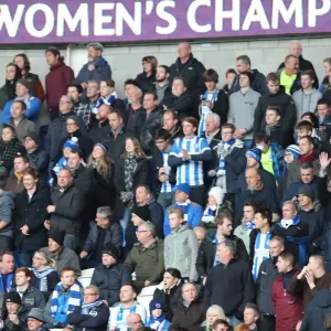 Decisive Moment: Cardiff vs. Brighton & Hove Albion at Cardiff City Stadium (03DEC16) Decisive Moment: Cardiff vs. Brighton & Hove Albion at Cardiff City Stadium (03DEC16)