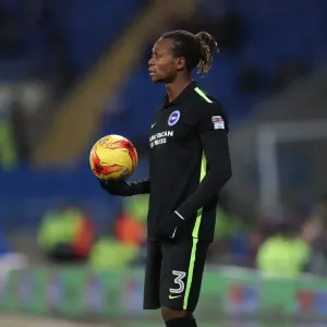 Decisive Moment: Cardiff vs. Brighton and Hove Albion in EFL Sky Bet Championship (03DEC16) Decisive Moment: Cardiff vs. Brighton and Hove Albion in EFL Sky Bet Championship (03DEC16)