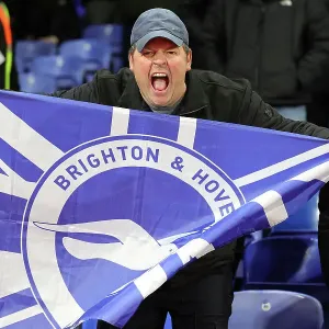 Decisive Moment: Crystal Palace vs. Brighton & Hove Albion, Premier League 2023/24