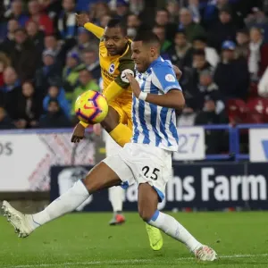 Decisive Moment: Huddersfield vs. Brighton & Hove Albion - Premier League Showdown (1st December 2018) Decisive Moment: Huddersfield vs. Brighton & Hove Albion - Premier League Showdown (1st December 2018)