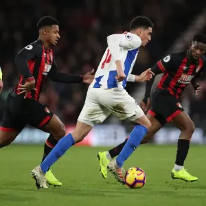 Decisive Moment: Premier League Showdown - AFC Bournemouth vs. Brighton and Hove Albion (22DEC18)