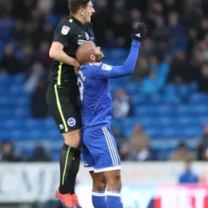 Decisive Moments at Cardiff City Stadium: Cardiff vs. Brighton & Hove Albion, EFL Sky Bet Championship (03DEC16) Decisive Moments at Cardiff City Stadium: Cardiff vs. Brighton & Hove Albion, EFL Sky Bet Championship (03DEC16)