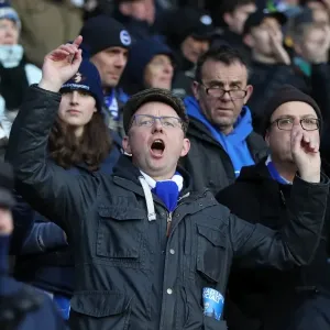 Decisive Moments: Huddersfield vs. Brighton, Premier League (09DEC17) Decisive Moments: Huddersfield vs. Brighton, Premier League (09DEC17)