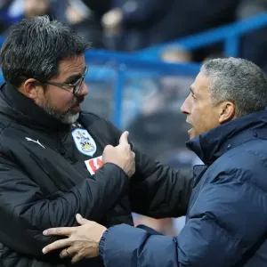 Decisive Moments at The John Smiths Stadium: Huddersfield Town vs. Brighton and Hove Albion (09DEC17) Decisive Moments at The John Smiths Stadium: Huddersfield Town vs. Brighton and Hove Albion (09DEC17)