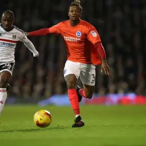 EFL Sky Bet Championship: Fulham vs. Brighton and Hove Albion Clash at Craven Cottage (02JAN17) EFL Sky Bet Championship: Fulham vs. Brighton and Hove Albion Clash at Craven Cottage (02JAN17)
