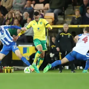 EFL Sky Bet Championship: Norwich City vs. Brighton and Hove Albion Clash at Carrow Road (21APR17) EFL Sky Bet Championship: Norwich City vs. Brighton and Hove Albion Clash at Carrow Road (21APR17)