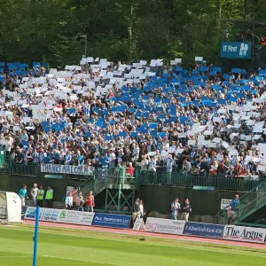 The Electric Atmosphere: Brighton & Hove Albion vs Stockport County (02/05/09) - Withdean Era Crowd Shots The Electric Atmosphere: Brighton & Hove Albion vs Stockport County (02/05/09) - Withdean Era Crowd Shots