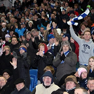 Electric Atmosphere at The Amex: Brighton & Hove Albion FC Crowd Shots (2011-12)