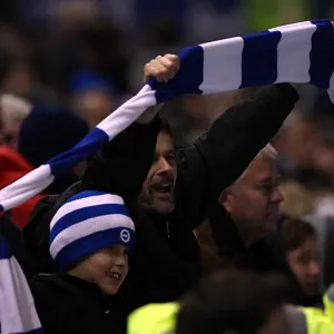 Electric Atmosphere at The Amex: Brighton & Hove Albion FC Crowd Shots (2011-12) Electric Atmosphere at The Amex: Brighton & Hove Albion FC Crowd Shots (2011-12)