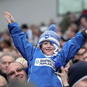 The Electric Atmosphere of Amex Stadium: Brighton & Hove Albion FC Crowd Shots (2012-2013)