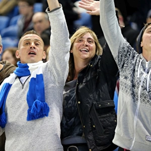 Electric Atmosphere: Brighton & Hove Albion FC Fans Roar at Amex Stadium (2013-14: Sheffield Wednesday Game)