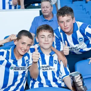 Electric Atmosphere: Brighton & Hove Albion FC Crowd Shots at the Amex Stadium (2012-2013) Electric Atmosphere: Brighton & Hove Albion FC Crowd Shots at the Amex Stadium (2012-2013)