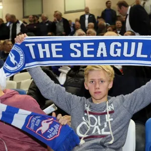 Electric Atmosphere: Brighton & Hove Albion FC Fans at Amex Stadium (2013-14 Season: Sheffield Wednesday Game)